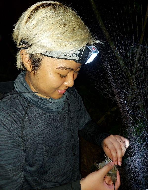 EcoOopsies Blog_Mistnetting_Beatrice Hipolito