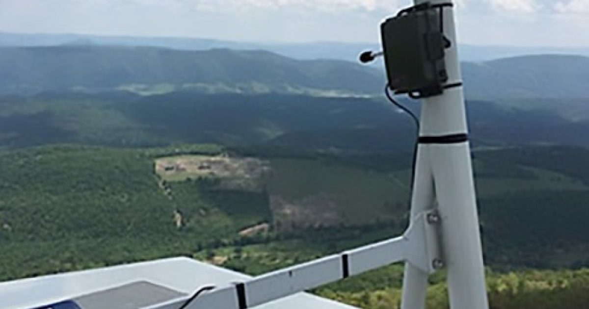 Using Acoustic Monitoring to Protect Bats Wildlife Acoustics