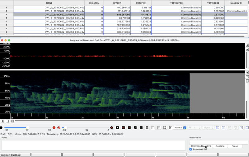 A sound analysis interface displaying audio waveforms and spectrograms, identifying the Common Blackbird.