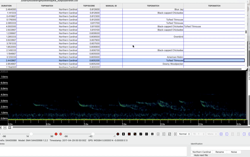 A data table displaying bird identification results, including species names, scores, and a spectrogram of audio recordings.