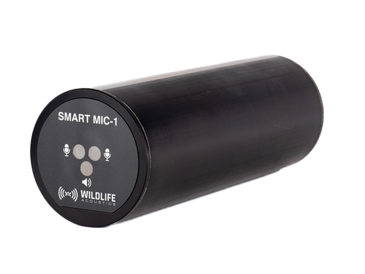 SMART Ultrasonic Microphone Wildlife Acoustics