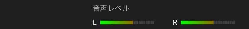 左右のマイクの音声レベルは、一番上の情報バーの下にある2つのビジュアルレベルメーターで示されます。