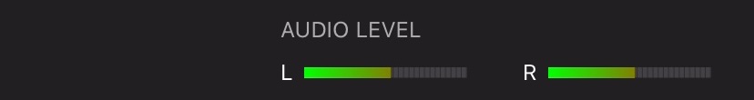 Audio Level for the left and right microphones are indicated by two visual level meters below the top-most info bar.