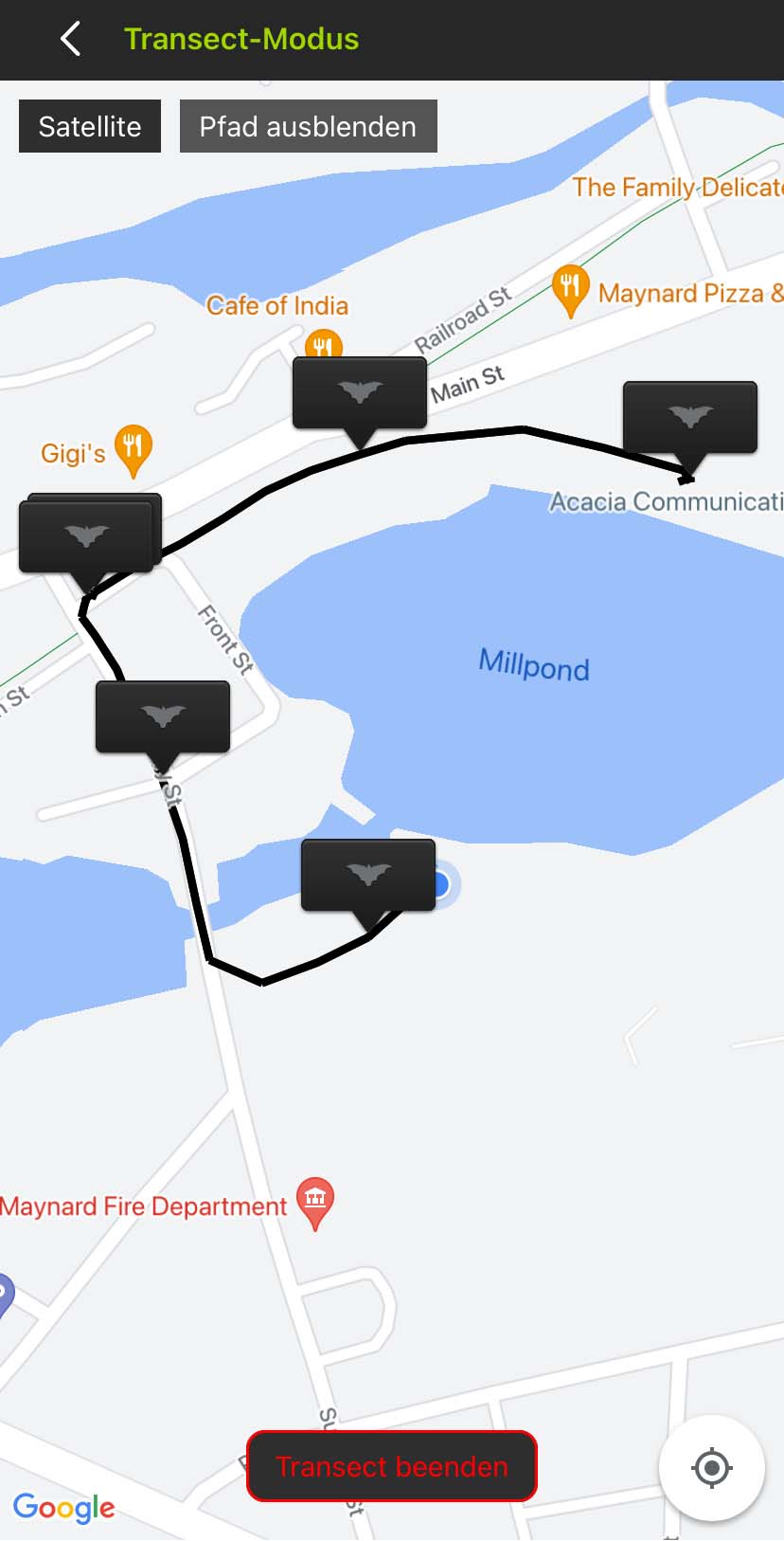 Screenshot der Transekt-Oberfläche. Eine Satellitenkartenansicht zeigt einen weißen Pfad um ein Wohnviertel und einen Teich. Schwarze Fahnen mit Fledermaus-Symbolen kennzeichnen die gespeicherten Orte der Audiodateien entlang des Pfads.