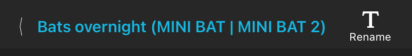 The top-most info bar of a the Configuration Editor in the Configuration Library. From left to right, "< Bats overnight (MINI BAT | MINI BAT 2) Rename."