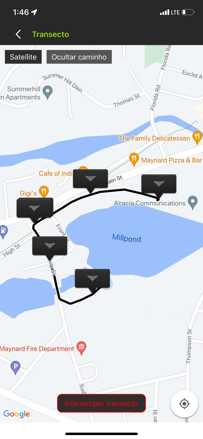 Captura de tela da interface Transecto. Uma visualização do mapa de satélite mostra um caminho branco ao redor de um bairro residencial e de um lago. Bandeiras pretas com ícones de morcegos indicam a localização dos arquivos de áudio ao longo do caminho.