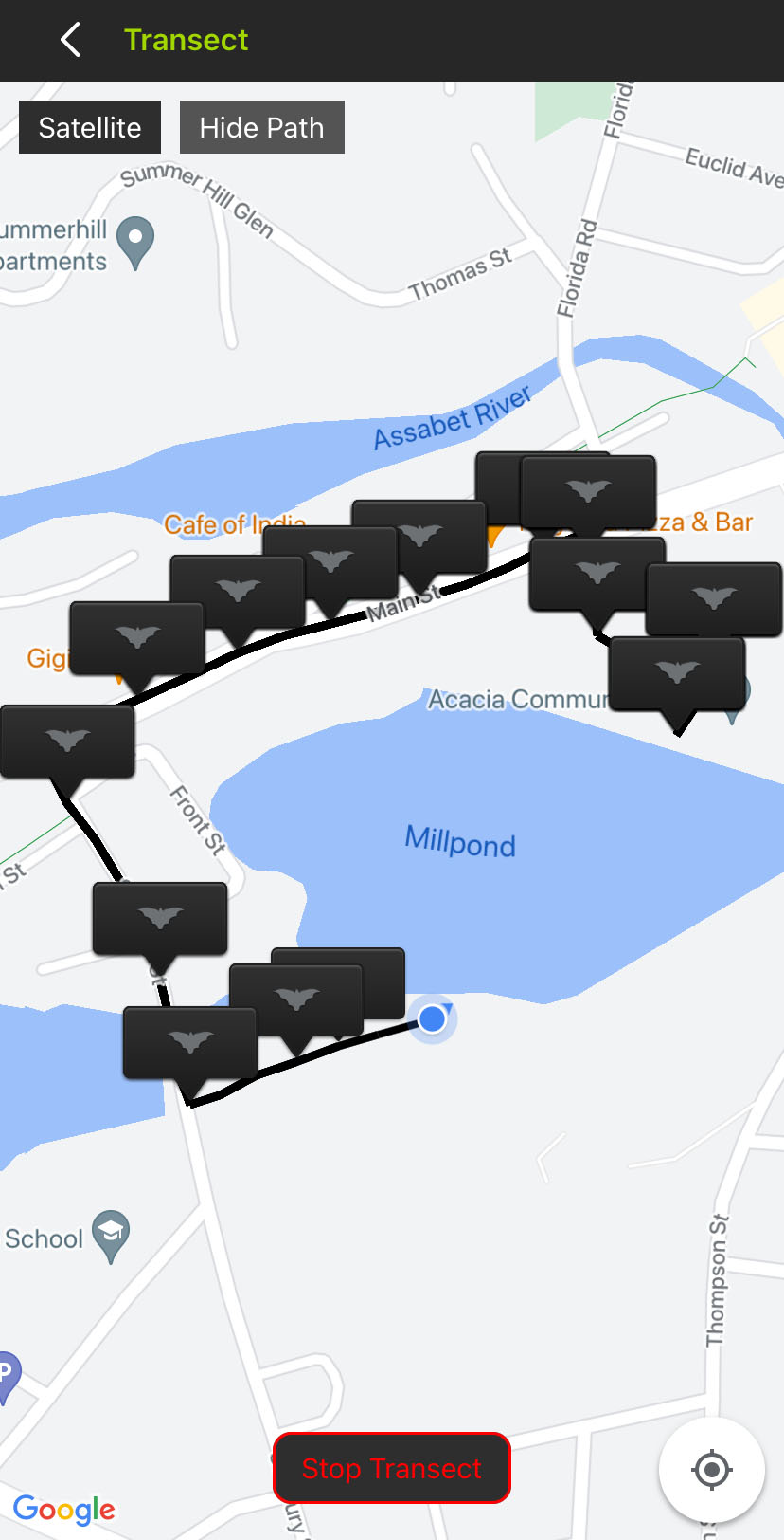 Screenshot of the Transect interface. A satellite map view shows a white path around a residential neighborhood and pond. Black flags with bat icons indicate the locations of audio files along the path.