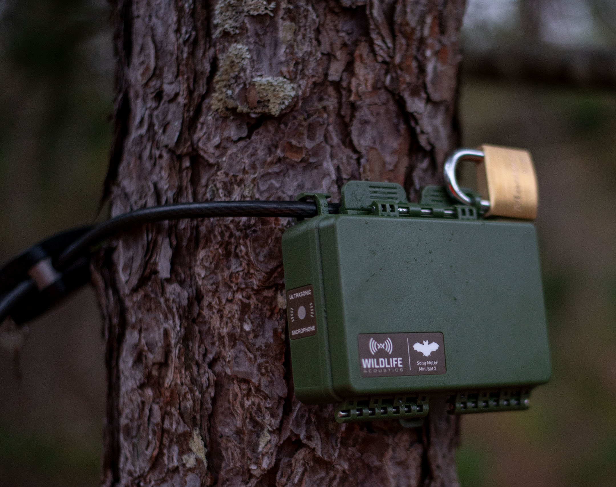 A cable lock and padlock can be installed simultaneously.