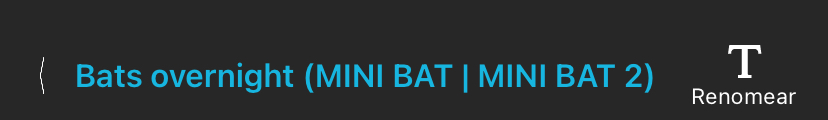 A barra de informações mais importante do Editor de Configurações na Biblioteca de Configurações. Da esquerda para a direita, "< Bats overnight (MINI BAT | MINI BAT 2) Rename" (< Morcegos durante a noite (MINI BAT | MINI BAT 2) Renomear).